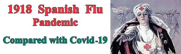 Flu - Covid